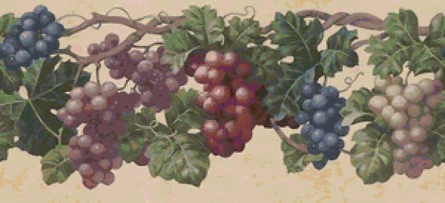 виноград - виноград - предпросмотр