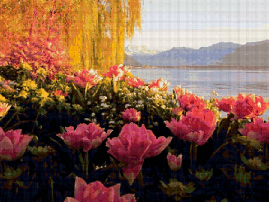 озера швейцарии - цветы, озеро - предпросмотр