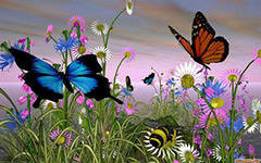 бабочки на лугу - лето, луг, бабочки - оригинал