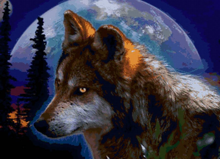 волк - волк - предпросмотр