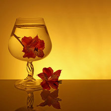 Схема вышивки «цветы»