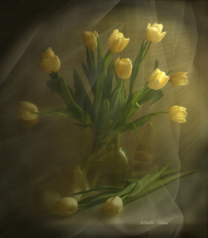 под вуалью - букет, тюльпаны, цветы, натюрморт - оригинал