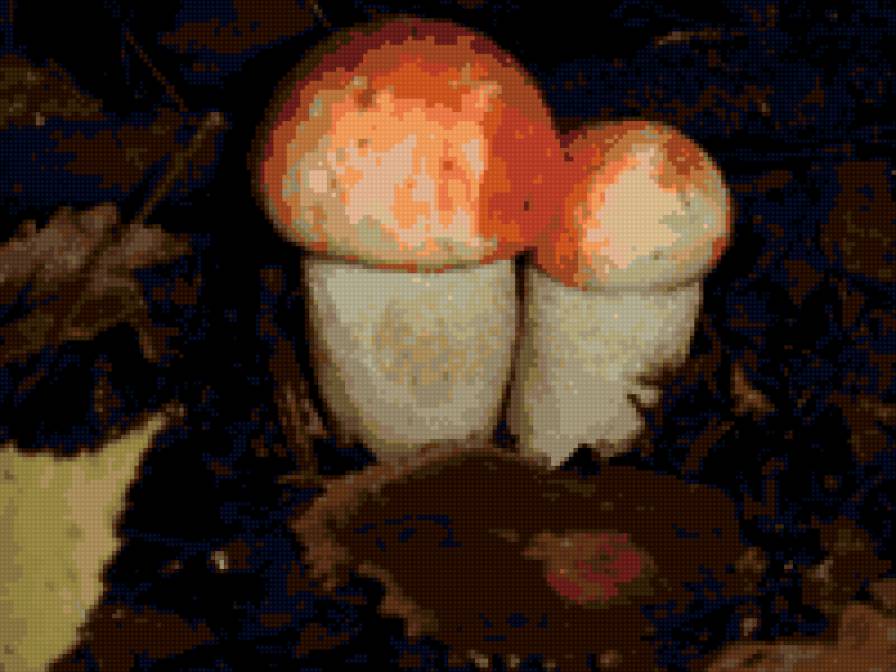 Грибочки - грибная пора, грибы, осень - предпросмотр