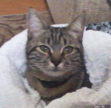 №66804 - оригинал