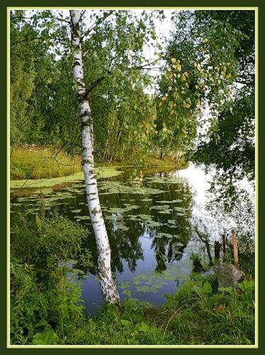 Природа - река, пейзаж, вода, природа - оригинал