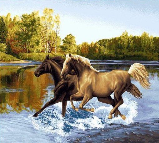 Лошади - пейзаж, животные, река, природа - оригинал
