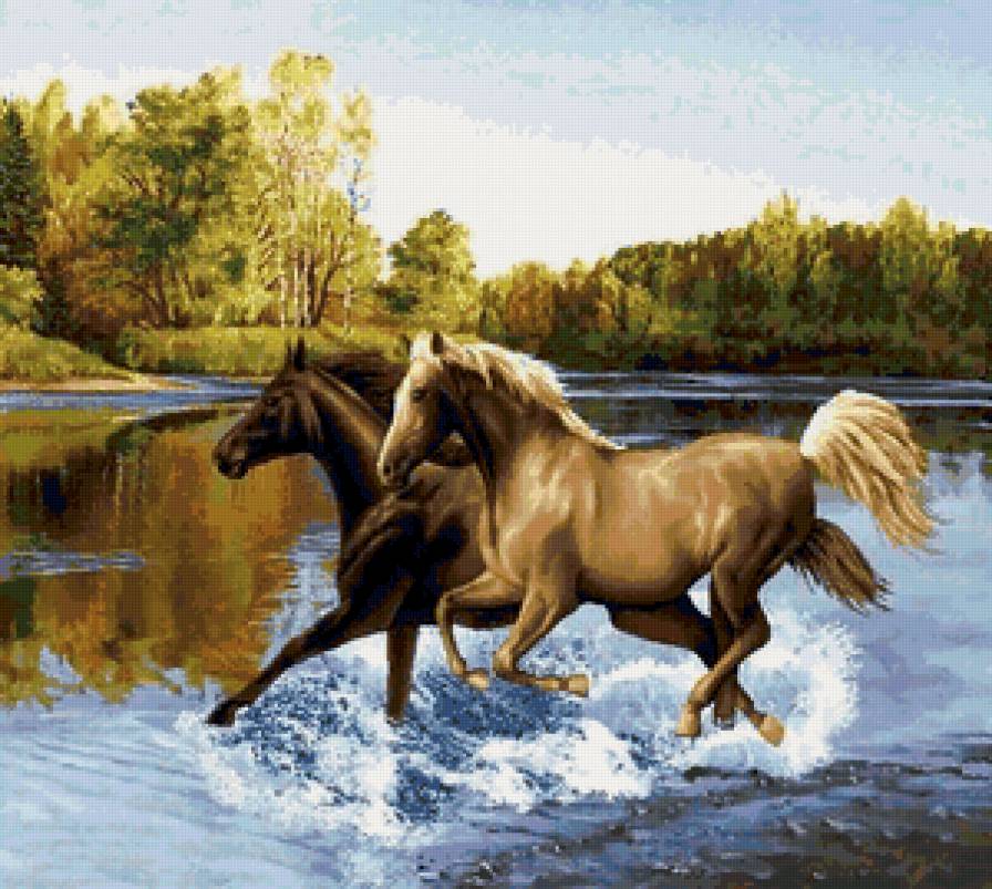 Лошади - река, животные, пейзаж, природа - предпросмотр