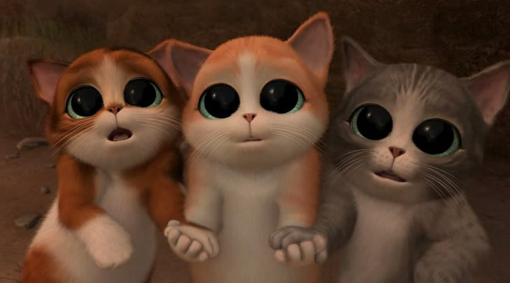 котики - оригинал