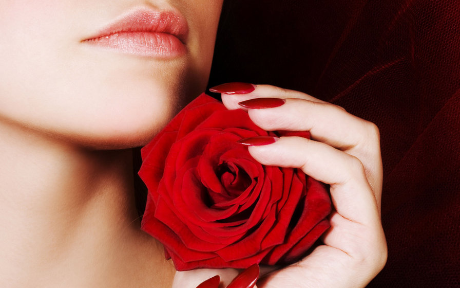 девушка с розой - цветы, девушка, роза, люди - оригинал