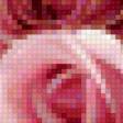 Предпросмотр схемы вышивки «букет роз» (№67436)