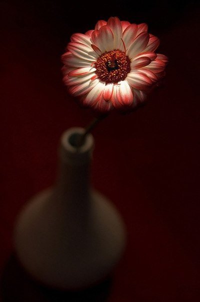 №67509 - картина, цветы - оригинал