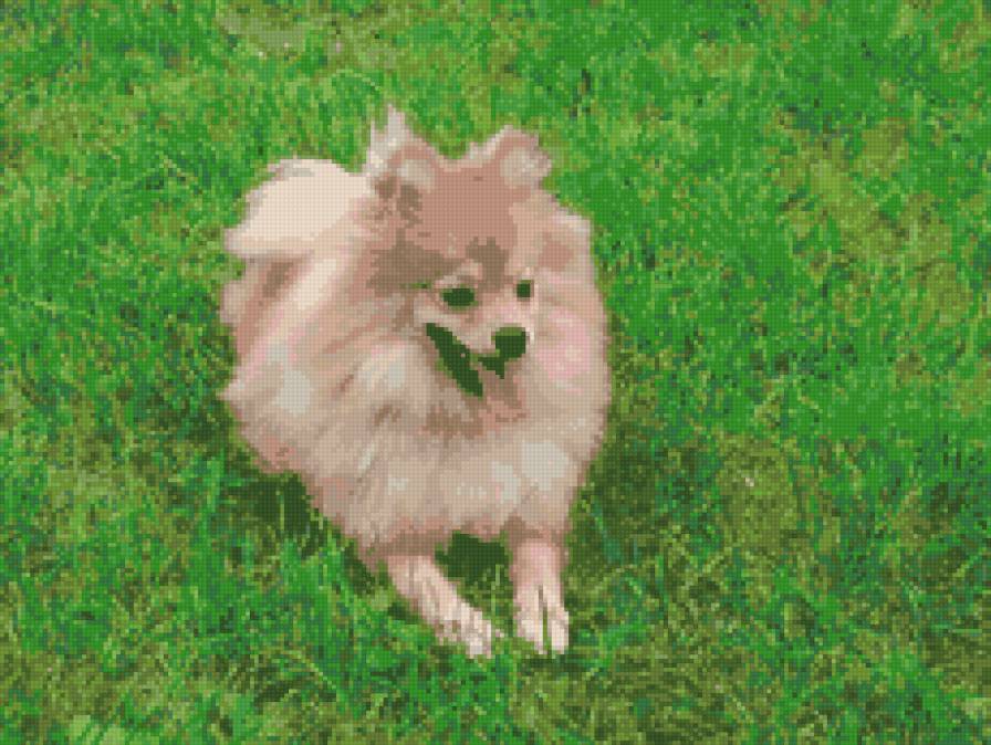 рик - предпросмотр