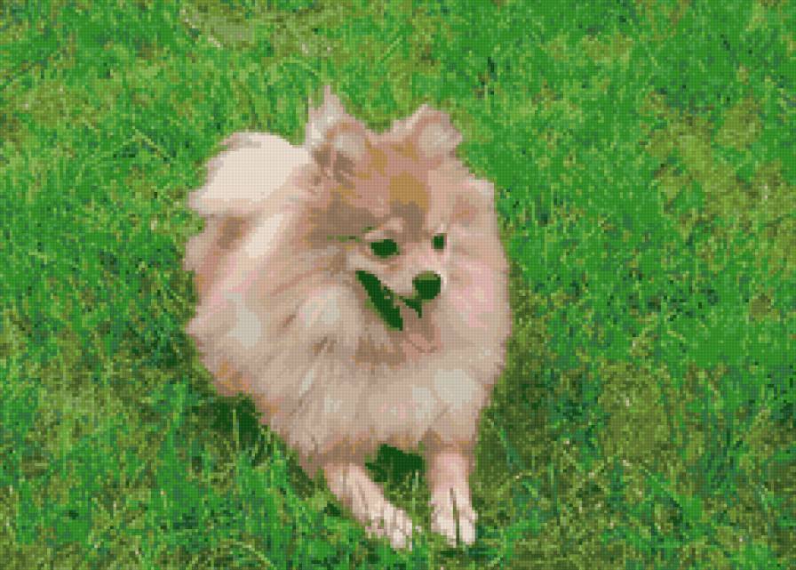 рикитос - предпросмотр