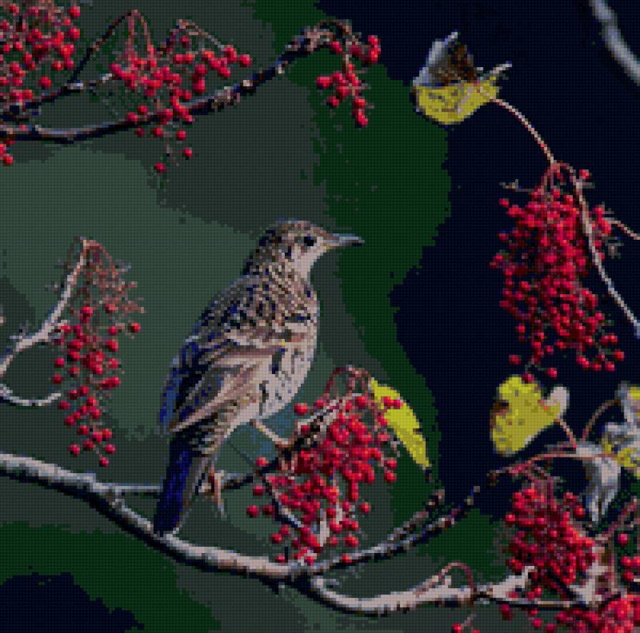 №67593 - подушка, картина, птицы - предпросмотр