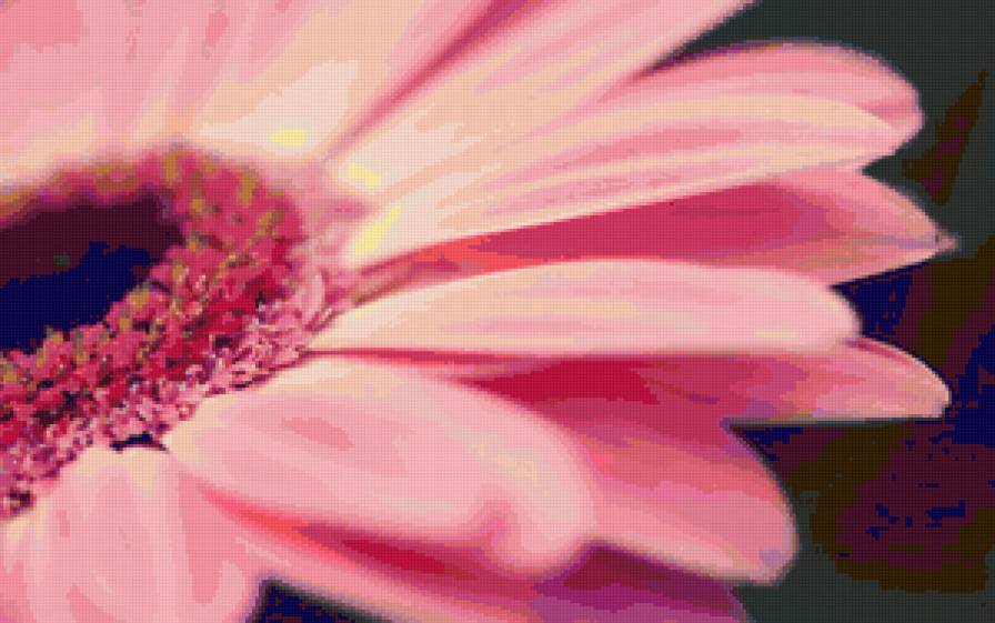 №67696 - цветы, картина - предпросмотр