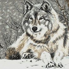 Схема вышивки «Одинокий волк»