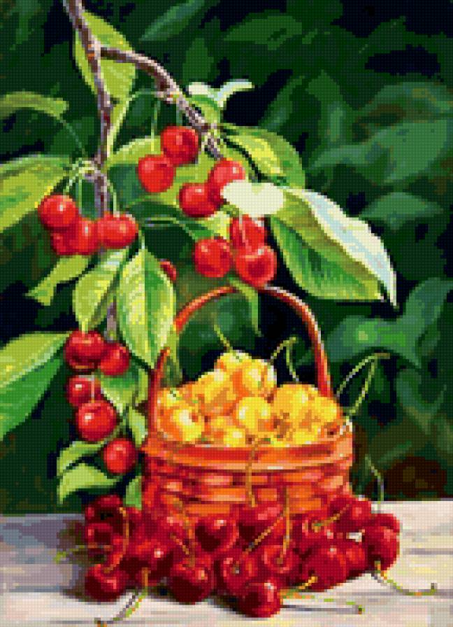 Спелая вишня - растения, натюрморт - предпросмотр