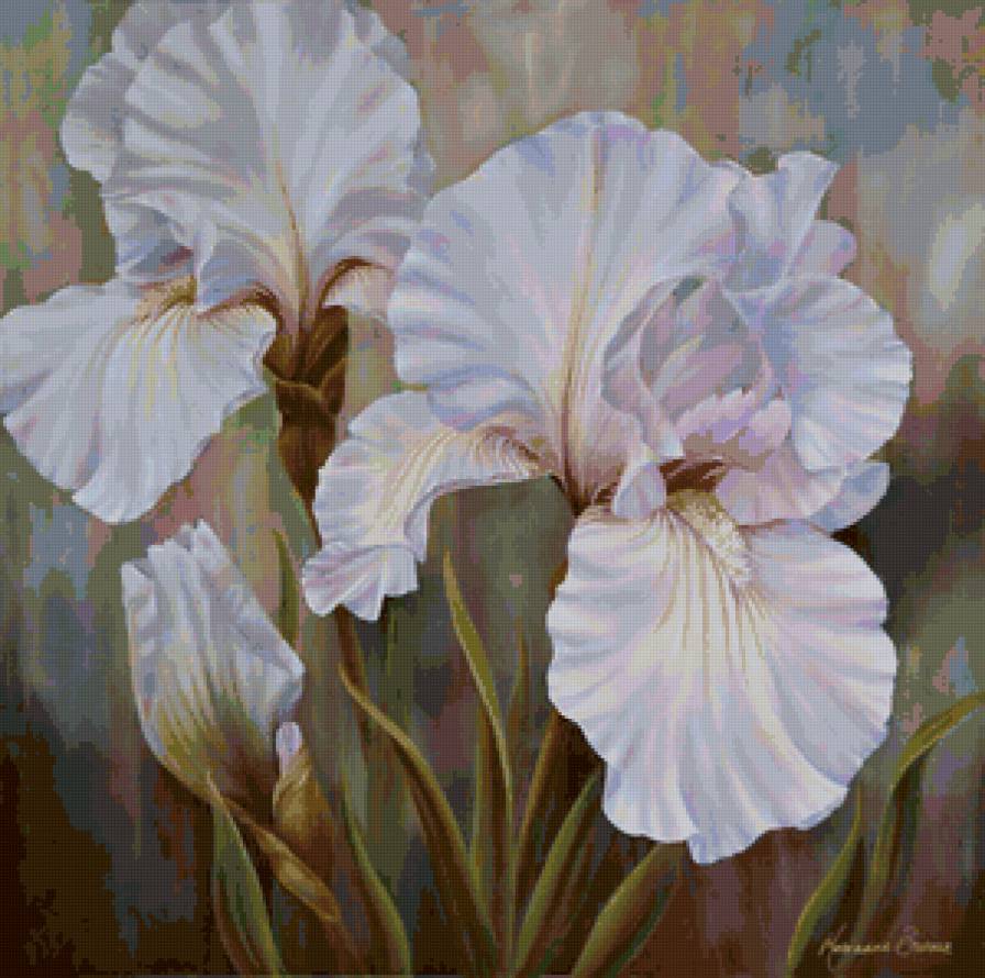 Ирис - картина, ирис, цветы, живопись - предпросмотр