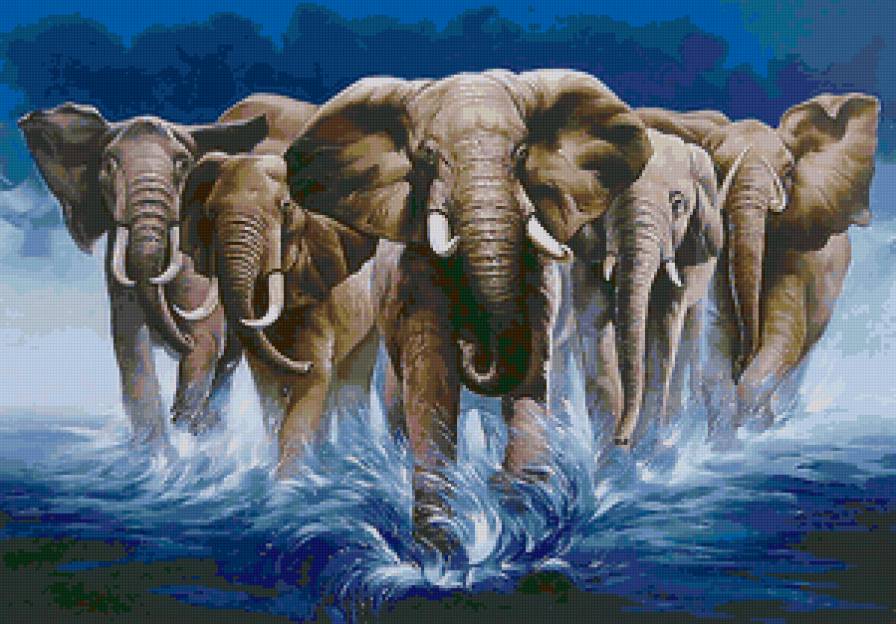 Слоны - животные, анималисты, картина, живопись, слон, слоны - предпросмотр