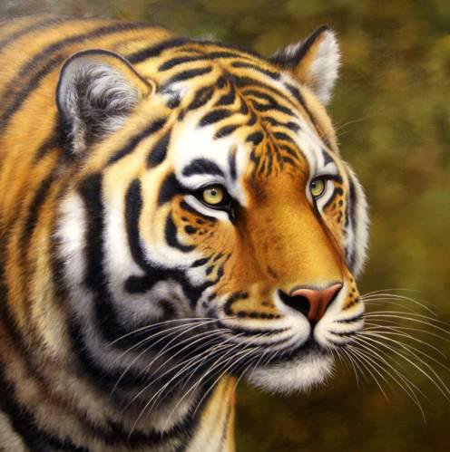 Кошки - кошки - оригинал