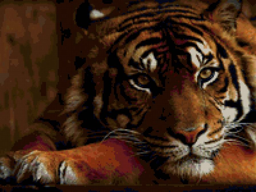 тигр - предпросмотр