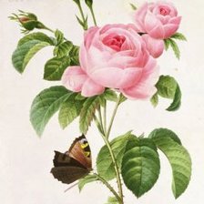 Оригинал схемы вышивки «роза с бабочкой» (№68019)