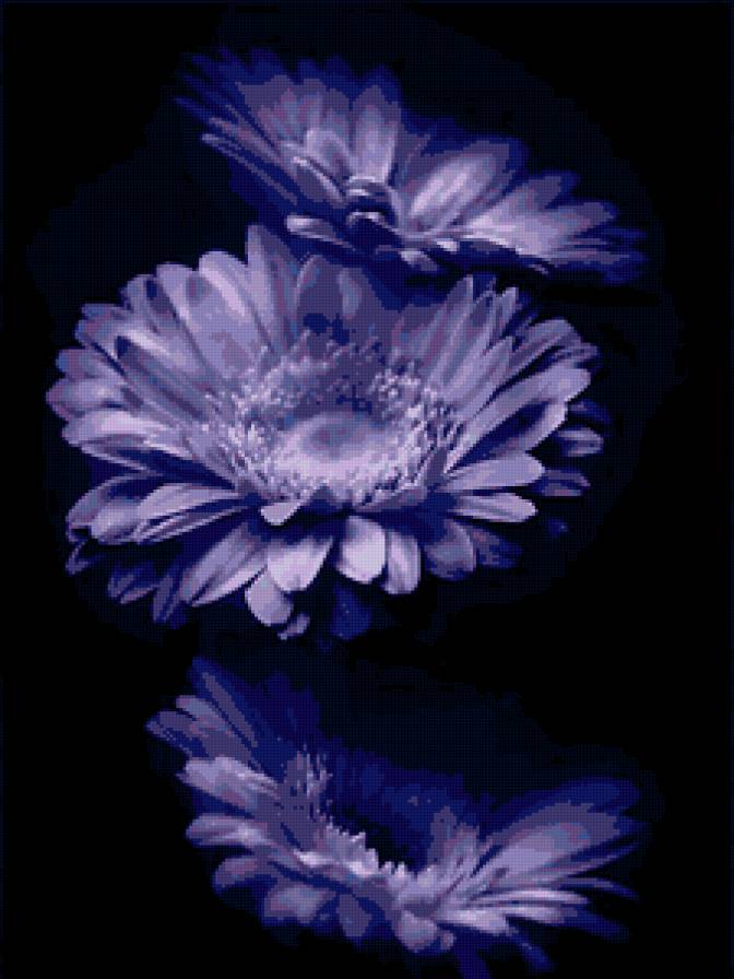 №68022 - предпросмотр