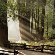 Схема вышивки «№68025»