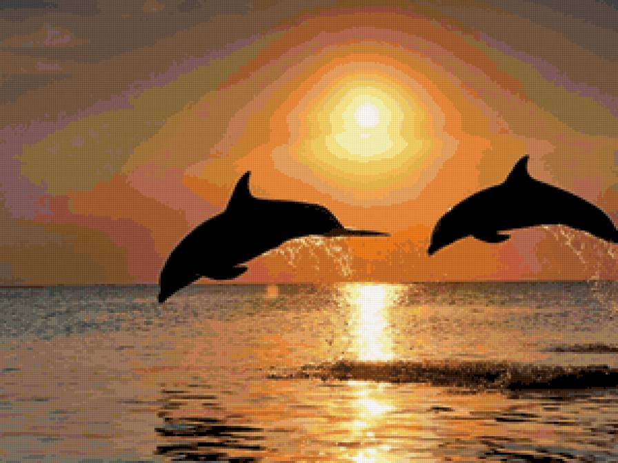 пара дельфинов - предпросмотр