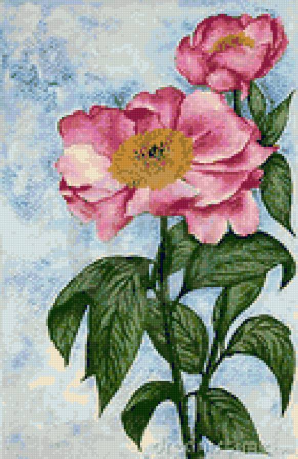 cvety - flower - предпросмотр