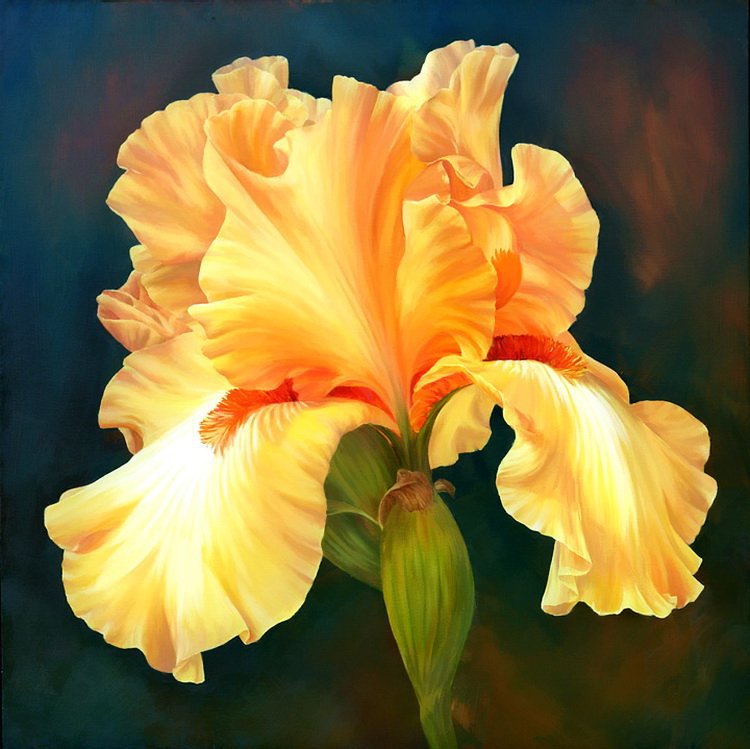 iris - flower - оригинал