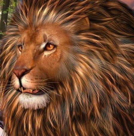 Кошки - кошки - оригинал