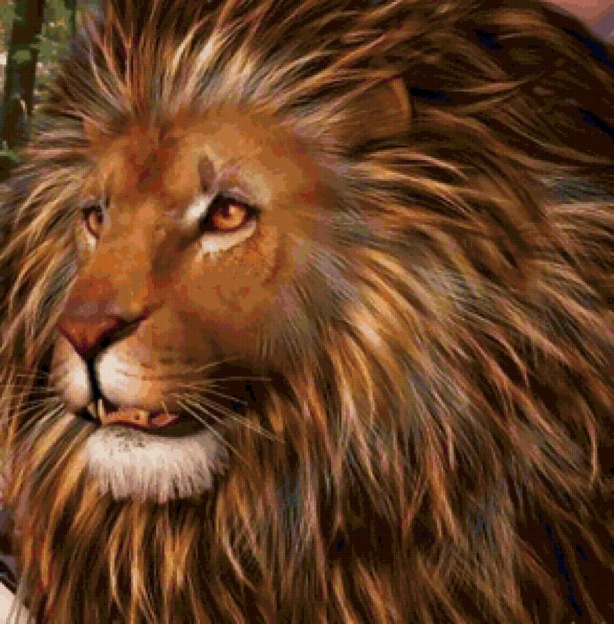 Кошки - кошки - предпросмотр