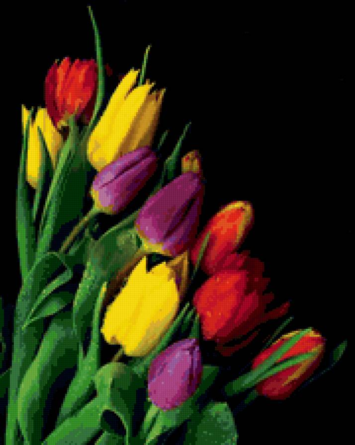 букет тюльпанов - цветы, тюльпаны - предпросмотр