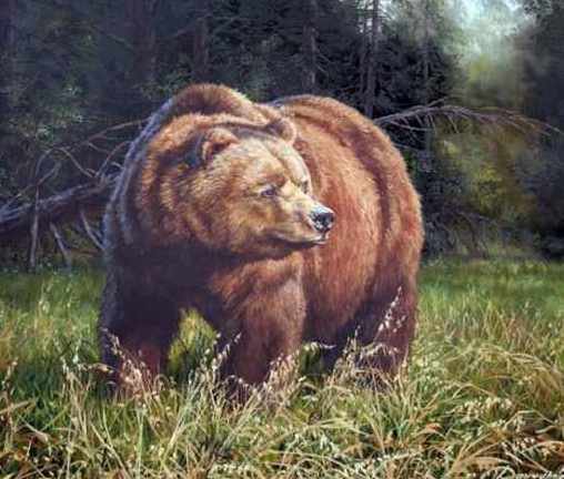 Медведь - медведь, анималисты, живопись, животные, картина - оригинал