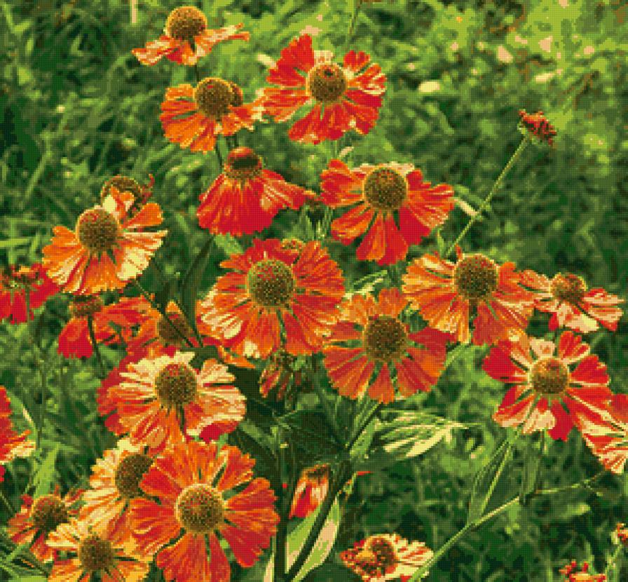 №68320 - подушки, цветы, подушка - предпросмотр