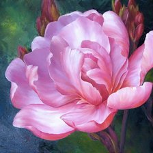Оригинал схемы вышивки «розовый цветок» (№68353)