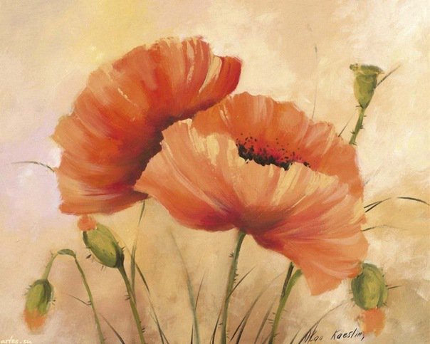 маки - маки - оригинал