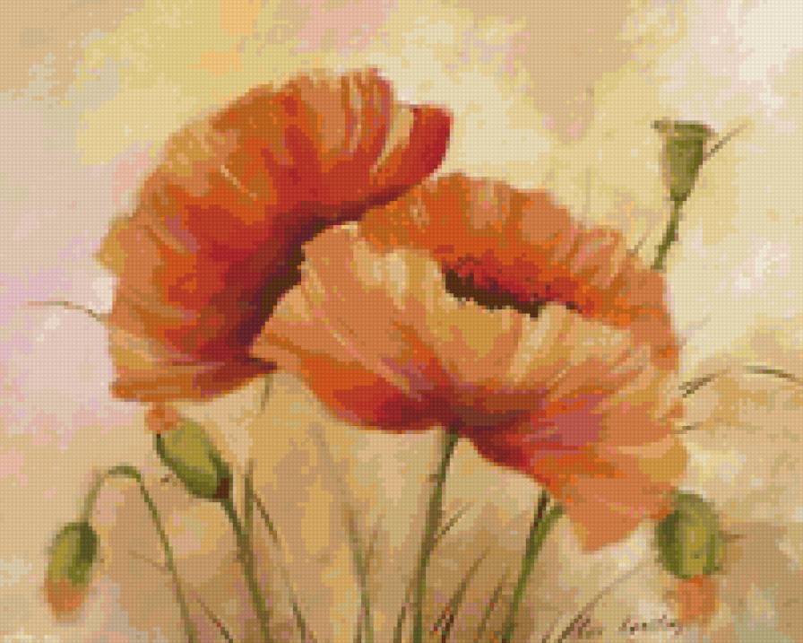 маки - маки - предпросмотр