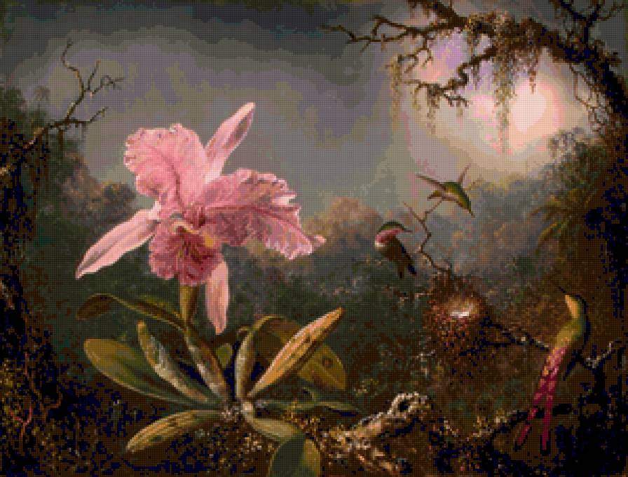 орхидея и колибри - картины - предпросмотр