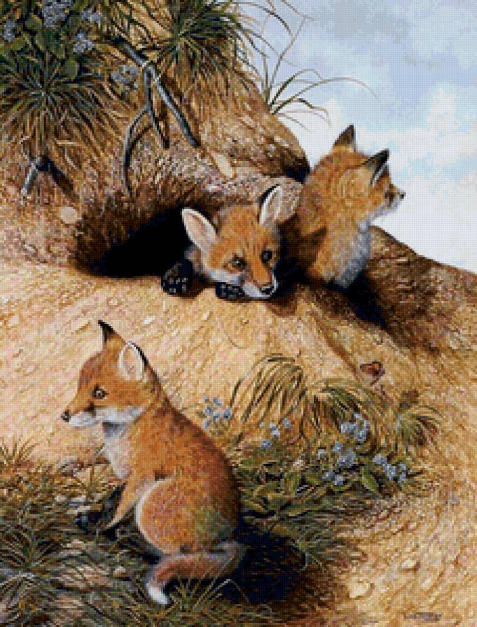 лисята - лиса, в лесу - предпросмотр