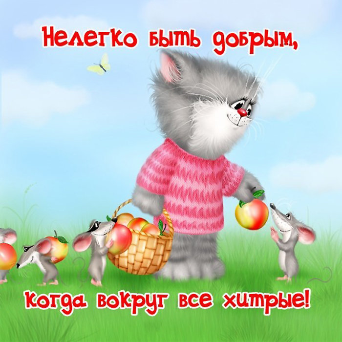 котик - надписи, кошки, коты, зверята, картина - оригинал
