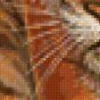 Предпросмотр схемы вышивки «тигр» (№69030)