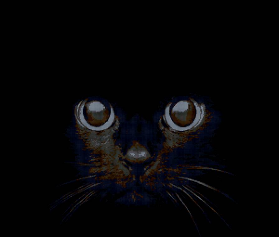 Кот - животные, черный, кот - предпросмотр