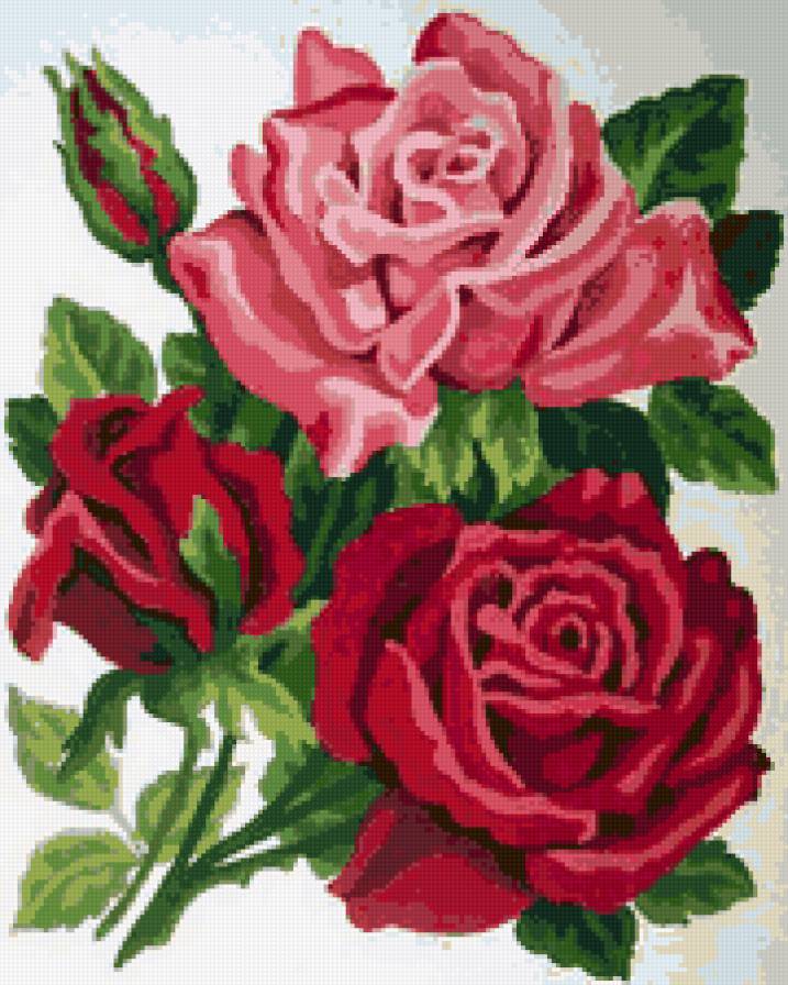 любимые розы 2 - предпросмотр