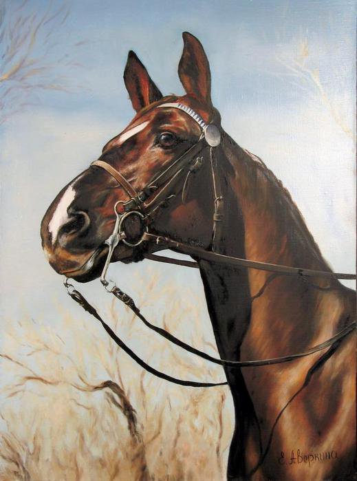 Красавец - елена аверкина, животные, лошади, живопись, жеребец, картина - оригинал