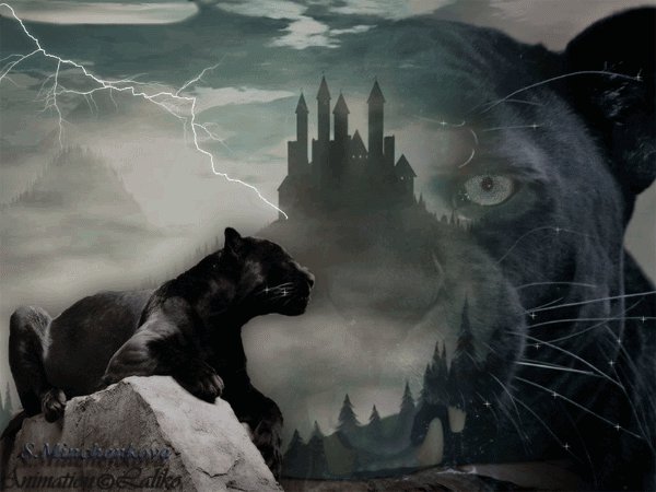 Пантера - оригинал