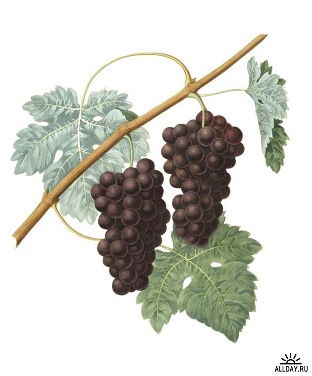 №69487 - оригинал