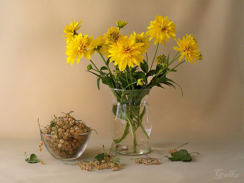Золотые шары - букет, натюрморт, цветы - оригинал