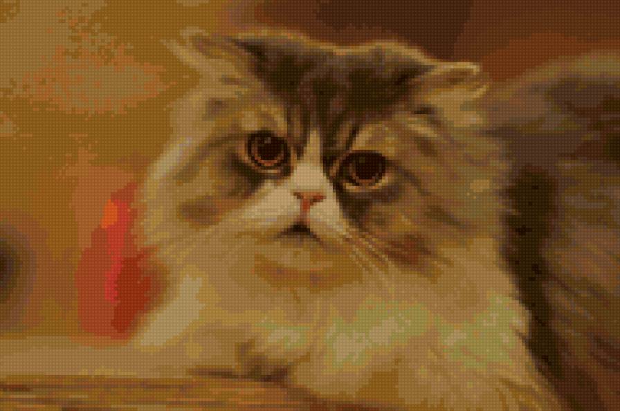 Кот Шарик - кошки - предпросмотр